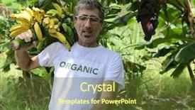  Presentation with organic farming - Theme enhanced with organic farming farmer carrying bananas background and a tawny brown colored foreground