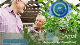  Presentation with organic farming - PPT theme with organic farming gardening agriculture old background and a tawny brown colored foreground