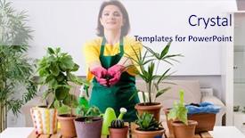  Presentation with organic fertilizer - Presentation design consisting of organic fertilizer - female gardener with plants indoors background and a sky blue colored foreground