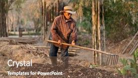  Presentation with fertilizer organic - Slides enhanced with organic fertilizer - thai asian farmer working background and a tawny brown colored foreground