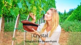  Presentation with unleavened bread grape wine - Presentation theme with organic food enjoying great harvest background and a coral colored foreground