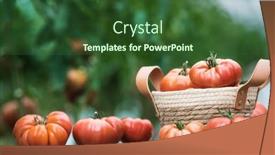  Presentation with free food - Presentation having organic-food-free-red-vegetables background and a forest green colored foreground