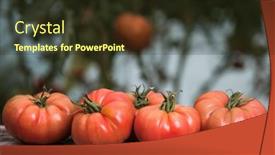  Presentation with free food - Slide set with organic-food-free-red-vegetables background and a tawny brown colored foreground