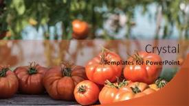  Presentation with free food - PPT theme with organic-food-free-red-vegetables background and a red colored foreground