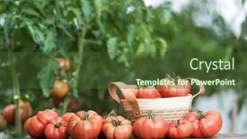 Presentation with free food - Slides with organic-food-free-red-vegetables background and a tawny brown colored foreground