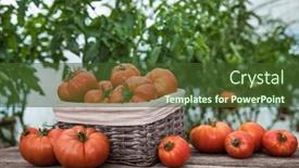  Presentation with free food - Theme featuring organic-food-free-red-vegetables background and a tawny brown colored foreground