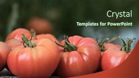  Presentation with free food - Slide deck consisting of organic-food-free-red-vegetables background and a tawny brown colored foreground