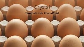  Presentation with organic - Beautiful theme featuring organic fresh brown chicken eggs in carton crate full frame close up backdrop and a coral colored foreground
