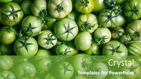  Presentation with organic - PPT layouts enhanced with organic-fresh-green-tomatoes-closeup background and a tawny brown colored foreground