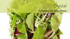  Presentation with healthy diet organic food - Presentation theme consisting of organic-fresh-salad-green-leaves background and a yellow colored foreground