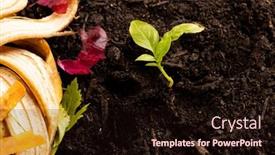 Presentation with composting - Presentation theme enhanced with organic-fruit-and-vegetable-waste background and a wine colored foreground