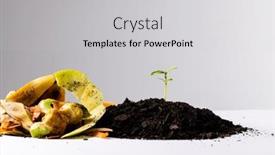  Presentation with composting - PPT theme featuring organic-fruit-and-vegetable-waste background and a light gray colored foreground