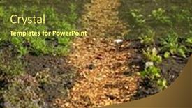  Presentation with plants - Slide deck consisting of organic-garden-with-young-plants background and a tawny brown colored foreground