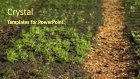  Presentation with organic - Presentation having organic-garden-with-young-plants background and a tawny brown colored foreground