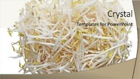  Presentation with bean sprouts - Presentation having organic green mung bean sprouts background and a lemonade colored foreground