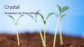  Presentation with seedling - Slide deck featuring organic growth - green seedling illustrating concept background and a  colored foreground