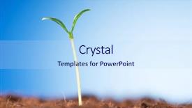  Presentation with green life - Slides enhanced with organic growth - green seedling illustrating concept background and a  colored foreground