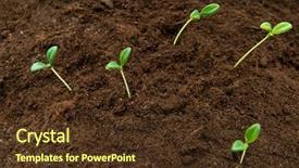  Presentation with green life - Colorful slide deck enhanced with organic growth - green seedling illustrating concept backdrop and a tawny brown colored foreground