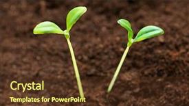 Presentation with green life - Presentation theme consisting of organic growth - green seedling illustrating concept background and a tawny brown colored foreground