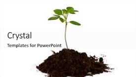  Presentation with white green - Slides consisting of organic growth - growing green plant isolated background and a  colored foreground