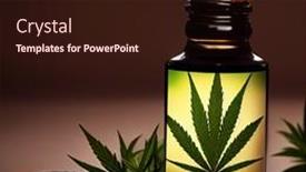  Presentation with hemp oil - Presentation enhanced with organic-hemp-oil-bottle background and a wine colored foreground
