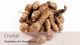  Presentation with jerusalem - Slide deck having organic-jerusalem-artichokes background and a coral colored foreground