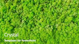  Presentation with green beauty - Beautiful theme featuring organic material beauty of earth backdrop and a tawny brown colored foreground