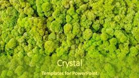  Presentation with green beauty - Cool new slide deck with organic material beauty of earth backdrop and a gold colored foreground