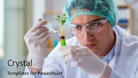  Presentation with biotechnology lab - PPT theme having biology flora - biotechnology scientist working background and a light blue colored foreground