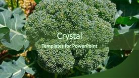  Presentation with orchard - Audience pleasing slide deck consisting of organic orchard urban homestead backdrop and a tawny brown colored foreground