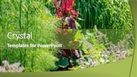  Presentation with vegetable garden - Slide set enhanced with organic-permaculture-garden background and a seafoam green colored foreground