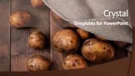  Presentation with organic - Audience pleasing theme consisting of organic potatoes in burlap sack backdrop and a gray colored foreground