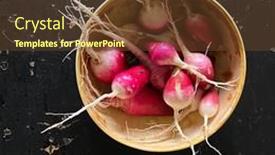  Presentation with organic - PPT layouts featuring organic-radishes-in-a-wooden background and a tawny brown colored foreground