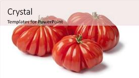  Presentation with organic - PPT theme enhanced with rebelion - fresh whole organic rebellion tomatoes background and a lemonade colored foreground