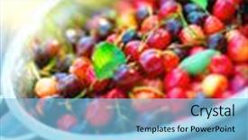  Presentation with bio - Presentation design enhanced with gardening harvest concept vitamin bio background and a light blue colored foreground