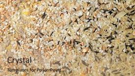  Presentation with organic rice - Presentation design consisting of organic rice farming - colorful cereal seeds background background and a coral colored foreground