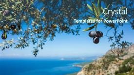  Presentation with tree farm - PPT theme consisting of organic-ripe-olives-growing background and a ocean colored foreground