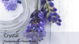  Presentation with facial - PPT theme featuring organic skin - natural facial cream with lavender background and a light blue colored foreground