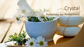  Presentation with alternative medicine - Colorful theme enhanced with alternative medicine healthy cosmetics concept backdrop and a cream colored foreground