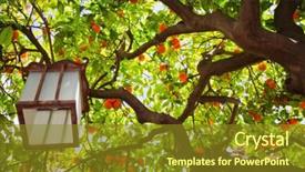  Presentation with chinese lantern - Slides enhanced with tree and a chinese lantern background and a gold colored foreground