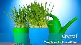  Presentation with garden tools - PPT theme enhanced with organic spring water - beautiful grass in a flowerpots background and a  colored foreground