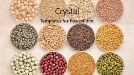  Presentation with seeds - Cool new PPT theme with organic sprouting seeds and bean backdrop and a coral colored foreground