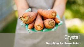  Presentation with image of car racing - PPT theme featuring organic vegetables - image of woman holding carrot background and a gray colored foreground