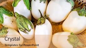  Presentation with eggplant - PPT theme consisting of organic white eggplants background and a yellow colored foreground