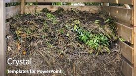  Presentation with composting - Amazing slides having organic yard waste in wooden backdrop and a violet colored foreground