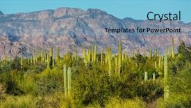  Presentation with california irrigation canals - Slides with organigrama - cactus fields in mexico baja background and a light blue colored foreground