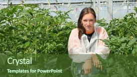  Presentation with covid 19 researcher - Cool new PPT theme with organisme genetiquement modifie - confident researcher standing amidst tomato backdrop and a tawny brown colored foreground
