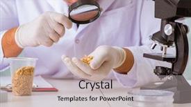  Presentation with nutrition - Presentation theme having organisme genetiquement modifie - nutrition expert testing food products background and a light gray colored foreground