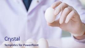  Presentation with nutrition - Amazing slides having organisme genetiquement modifie - nutrition expert testing food products backdrop and a sky blue colored foreground