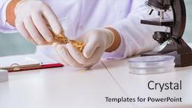  Presentation with nutrition - Slides having organisme genetiquement modifie - nutrition expert testing food products background and a light gray colored foreground